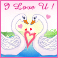 1036-015-04-1017.gif